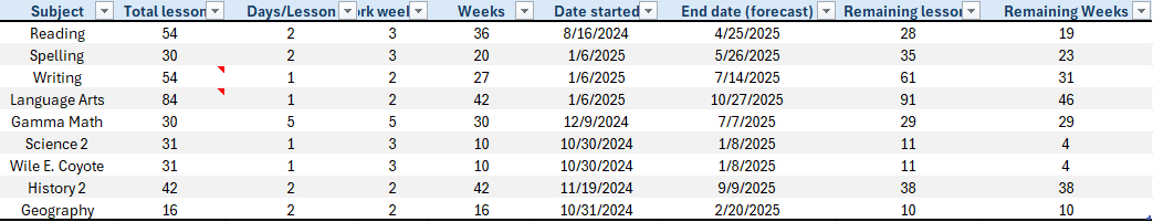 Excel screenshot showing the subjects taught, with all fields displayed and records calculated, according to formulas written.